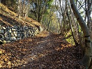 23 Muri a secco a monte, piante a valle